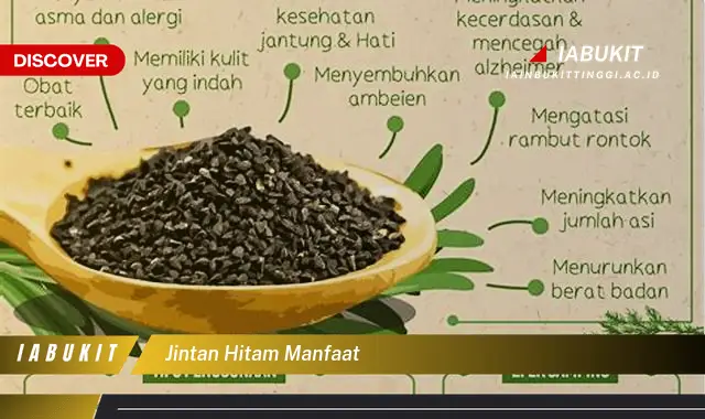 jintan hitam manfaat