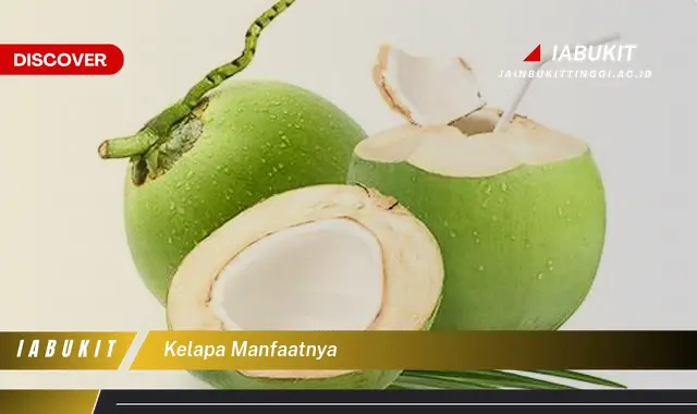 kelapa manfaatnya