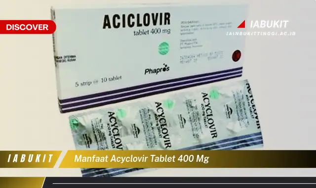 manfaat acyclovir tablet 400 mg