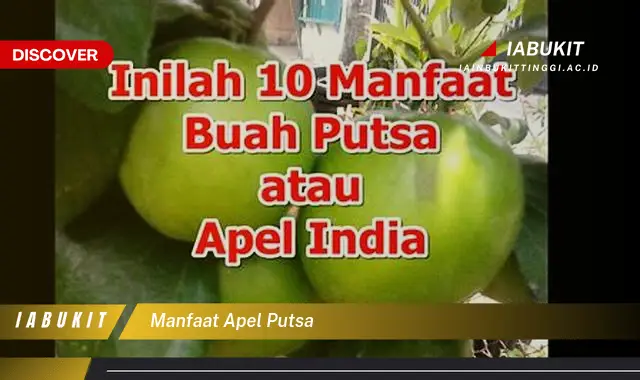 manfaat apel putsa