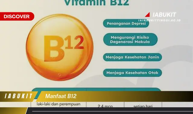 manfaat b12