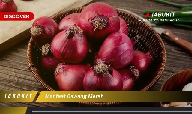 manfaat bawang merah