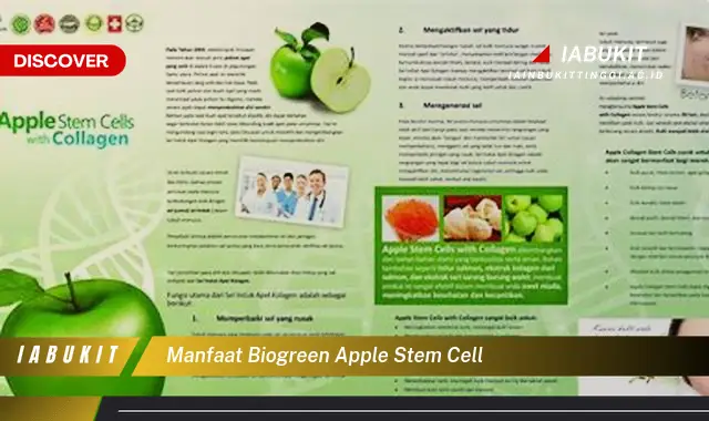 manfaat biogreen apple stem cell