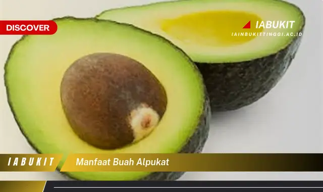 manfaat buah alpukat