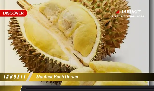 Ketahui 7 Manfaat Buah Durian yang Bikin Kamu Penasaran – Discover