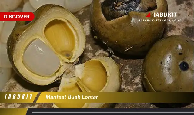 manfaat buah lontar