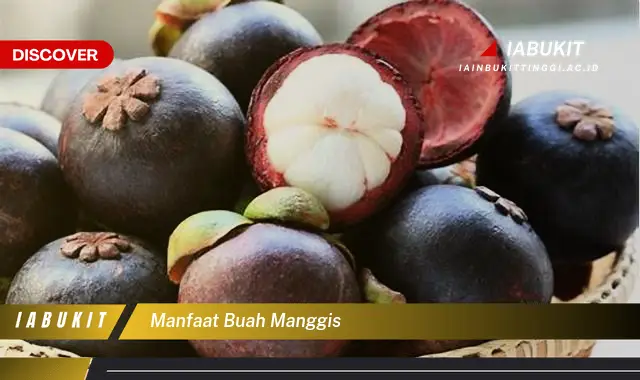 manfaat buah manggis