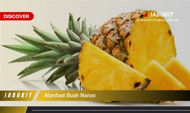 manfaat buah nanas