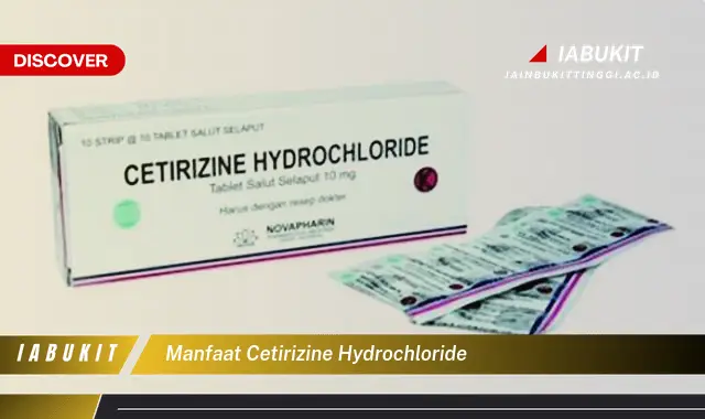 manfaat cetirizine hydrochloride