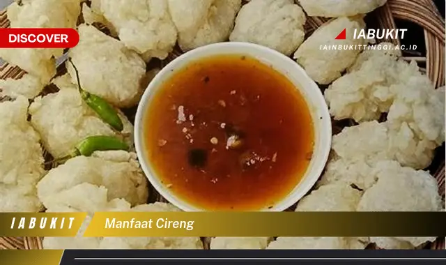 manfaat cireng