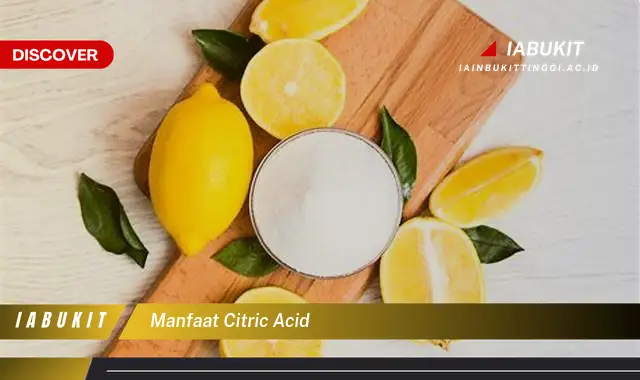 manfaat citric acid