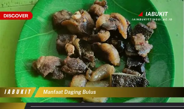 manfaat daging bulus