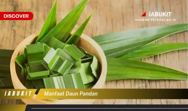 manfaat daun pandan