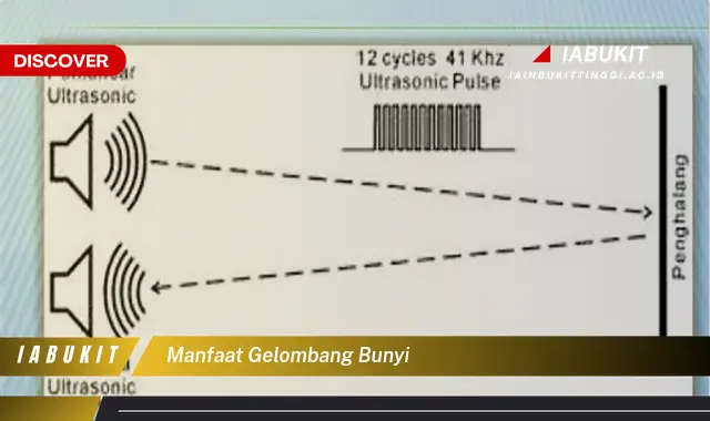 manfaat gelombang bunyi manfaat gelombang bunyi