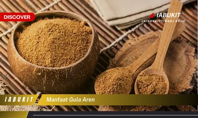 manfaat gula aren