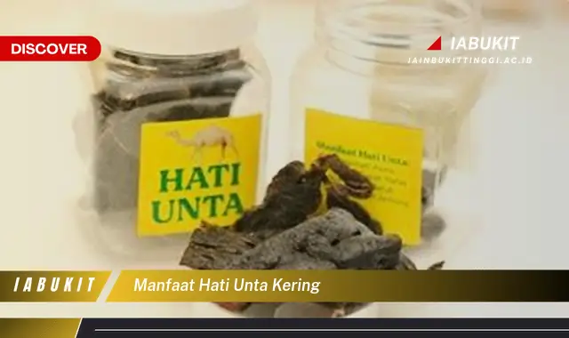 manfaat hati unta kering