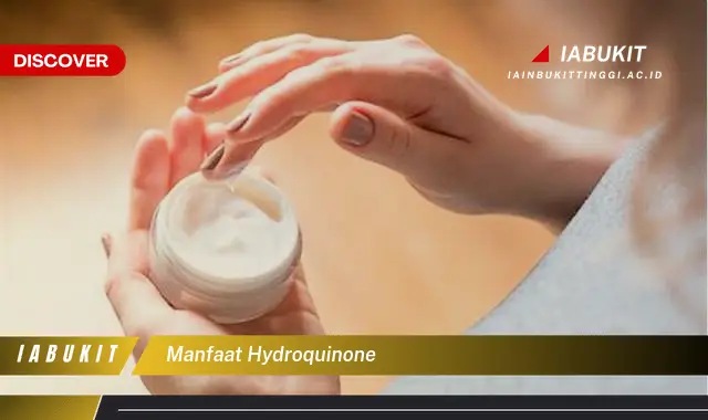 manfaat hydroquinone