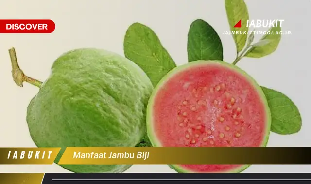 manfaat jambu biji