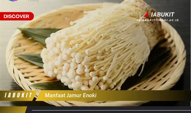 manfaat jamur enoki