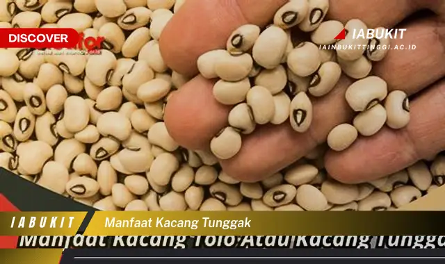 manfaat kacang tunggak