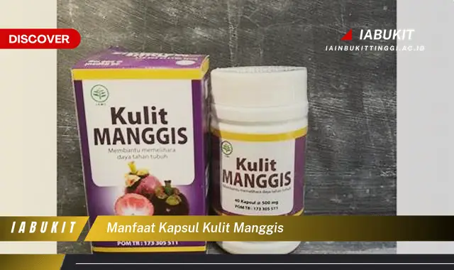 manfaat kapsul kulit manggis