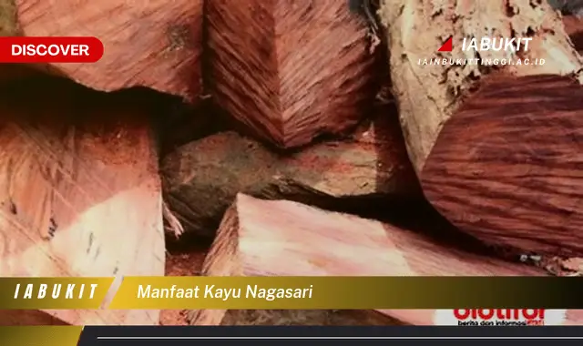 manfaat kayu nagasari