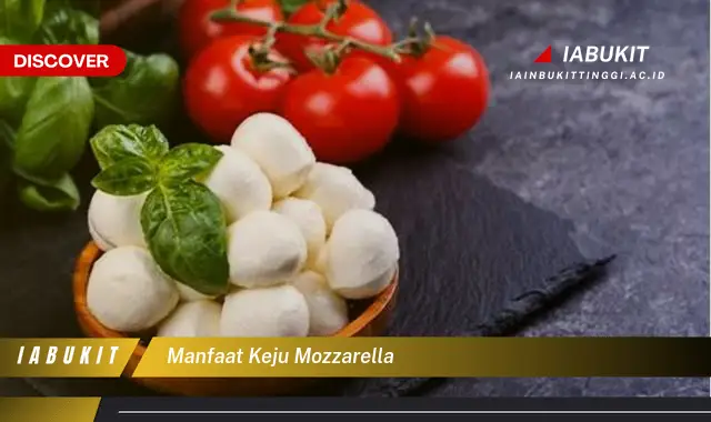 manfaat keju mozzarella