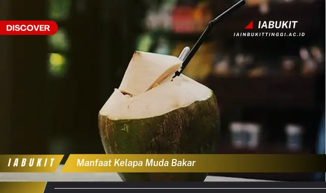 manfaat kelapa muda bakar