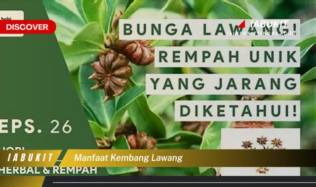 manfaat kembang lawang