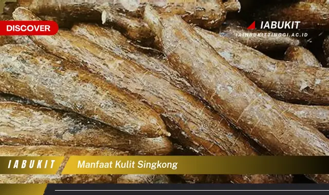 manfaat kulit singkong