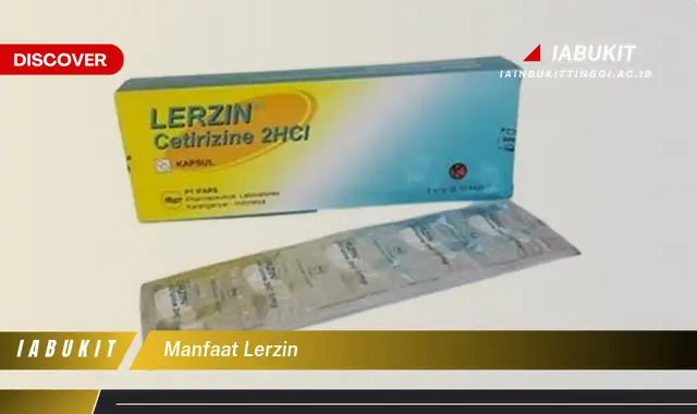 manfaat lerzin