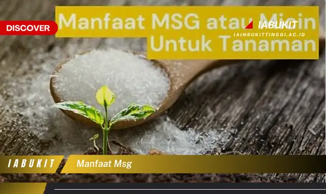 manfaat msg