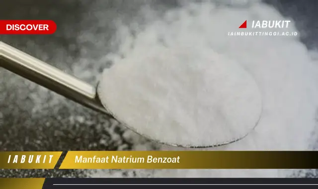 Temukan 7 Manfaat Natrium Benzoat yang Bikin Kamu Penasaran – Jurnal