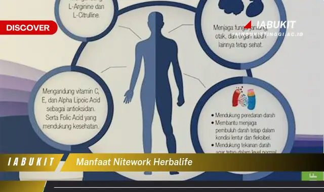 manfaat nitework herbalife