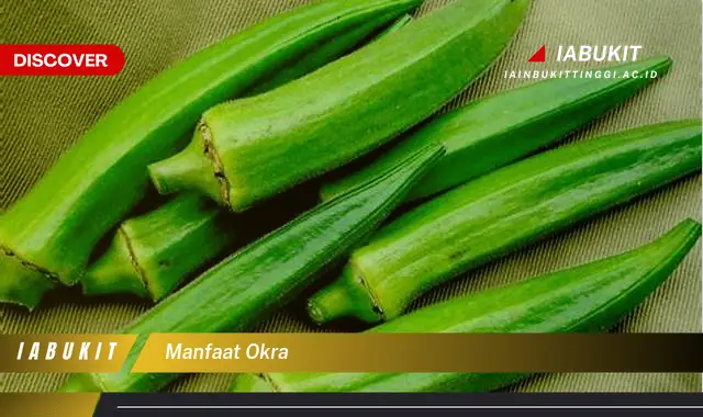 manfaat okra