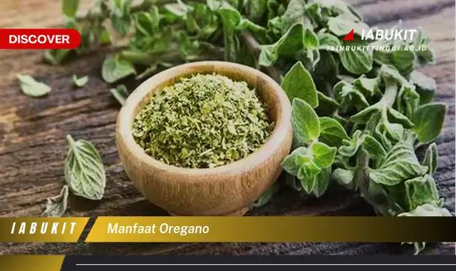 manfaat oregano