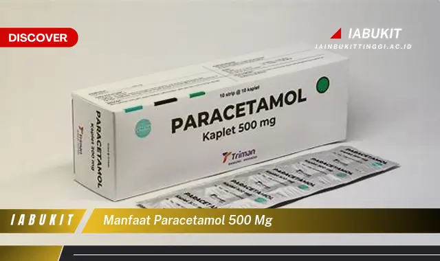 manfaat paracetamol 500 mg