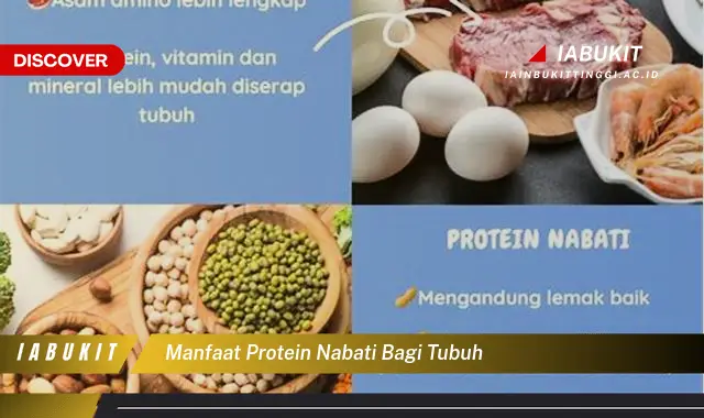 manfaat protein nabati bagi tubuh