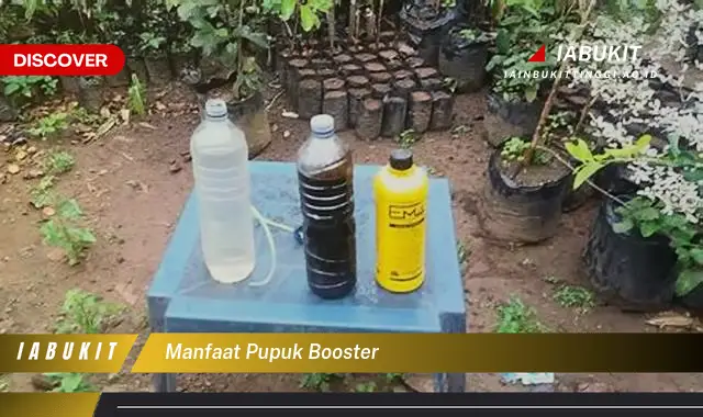 manfaat pupuk booster