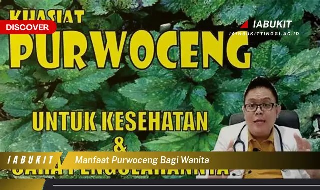 manfaat purwoceng bagi wanita