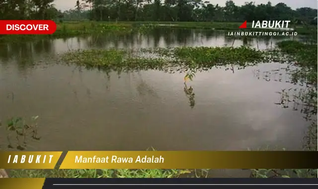manfaat rawa adalah manfaat rawa adalah