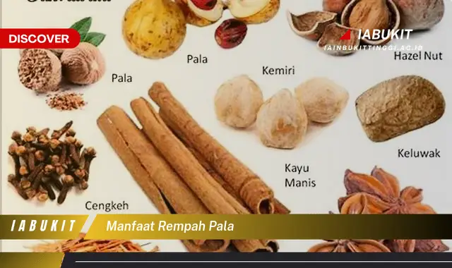 manfaat rempah pala