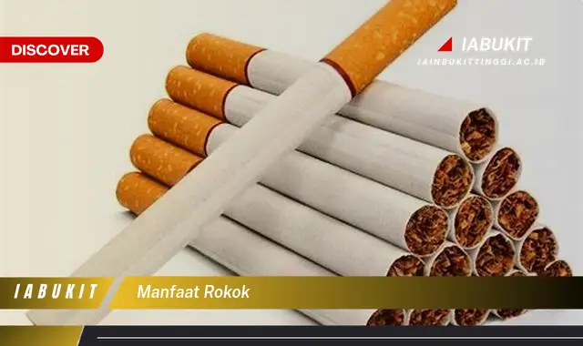 manfaat rokok