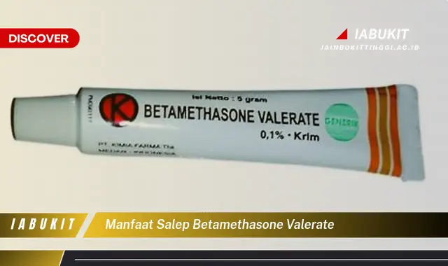 Temukan 7 Manfaat Salep Betamethasone Valerate yang Bikin Kamu ...