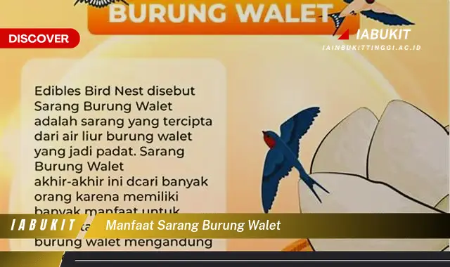 manfaat sarang burung walet