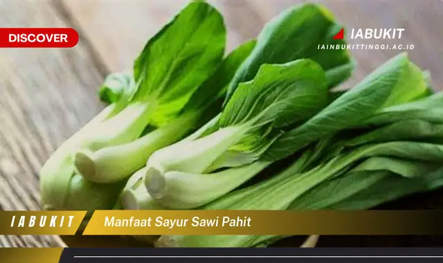 manfaat sayur sawi pahit