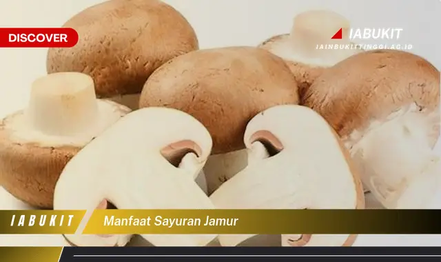 manfaat sayuran jamur