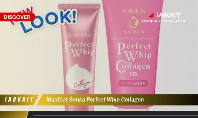 manfaat senka perfect whip collagen