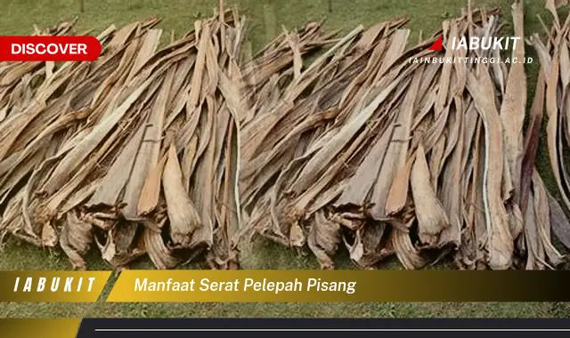 manfaat serat pelepah pisang