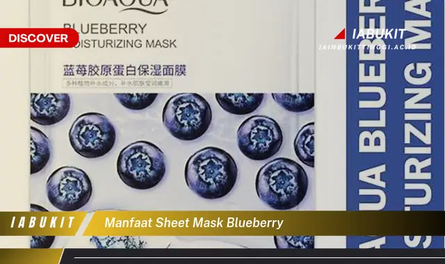 manfaat sheet mask blueberry